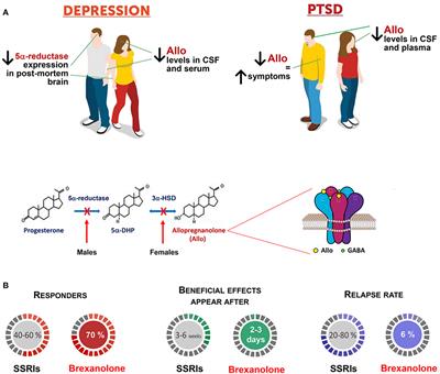 Allopregnanolone, the Neuromodulator Turned Therapeutic Agent: Thank You, Next?